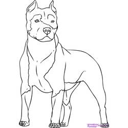 Página para colorir: Cachorro (animais) #3149 - Páginas para Colorir Imprimíveis Gratuitamente