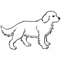 Página para colorir: Cachorro (animais) #3158 - Páginas para Colorir Imprimíveis Gratuitamente