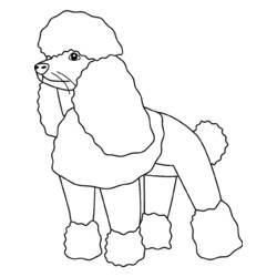 Página para colorir: Cachorro (animais) #3183 - Páginas para Colorir Imprimíveis Gratuitamente