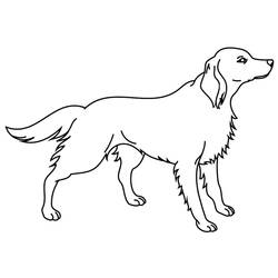 Página para colorir: Cachorro (animais) #3190 - Páginas para Colorir Imprimíveis Gratuitamente