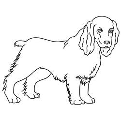 Página para colorir: Cachorro (animais) #3213 - Páginas para Colorir Imprimíveis Gratuitamente