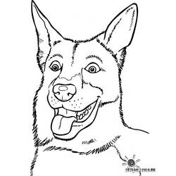 Página para colorir: Cachorro (animais) #3218 - Páginas para Colorir Imprimíveis Gratuitamente