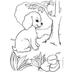 Página para colorir: Cachorro (animais) #39 - Páginas para Colorir Imprimíveis Gratuitamente