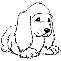 Página para colorir: Cachorro (animais) #6 - Páginas para Colorir Imprimíveis Gratuitamente