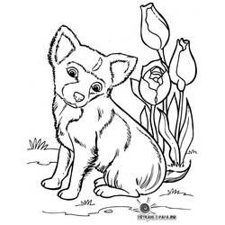 Página para colorir: Cachorro (animais) #69 - Páginas para Colorir Imprimíveis Gratuitamente