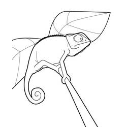 Desenho Camaleão (Animais) #206720 para imprimir e colorir