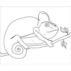 Desenho Camaleão (Animais) #206722 para imprimir e colorir