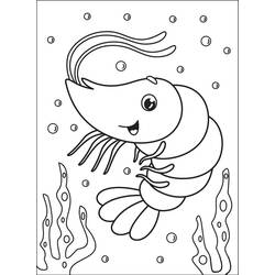 Desenhos para colorir: Camarão - Páginas para Colorir Imprimíveis Gratuitamente