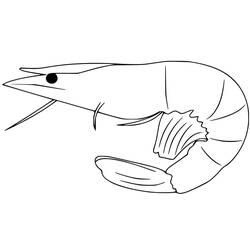 Desenho Camarão (Animais) #208543 para imprimir e colorir