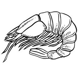 Desenho Camarão (Animais) #208563 para imprimir e colorir