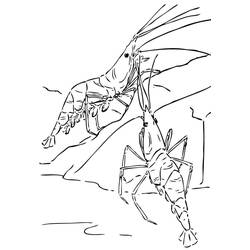 Desenho Camarão (Animais) #208565 para imprimir e colorir