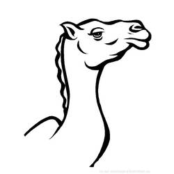 Página para colorir: Camelo (animais) #1685 - Páginas para colorir imprimíveis
