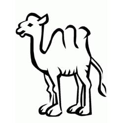 Página para colorir: Camelo (animais) #1693 - Páginas para colorir imprimíveis