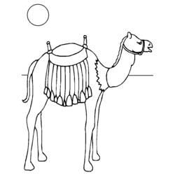 Página para colorir: Camelo (animais) #1699 - Páginas para colorir imprimíveis
