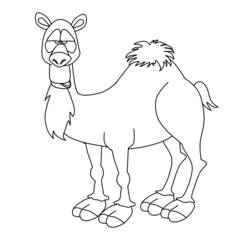 Página para colorir: Camelo (animais) #1704 - Páginas para colorir imprimíveis