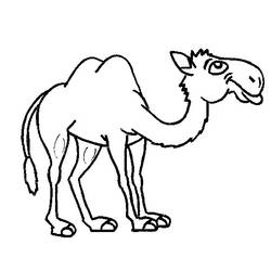Página para colorir: Camelo (animais) #1719 - Páginas para colorir imprimíveis