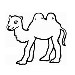 Desenho Camelo (Animais) #205466 para imprimir e colorir