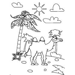 Desenho Camelo (Animais) #205468 para imprimir e colorir