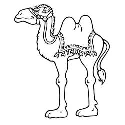 Desenho Camelo (Animais) #205477 para imprimir e colorir