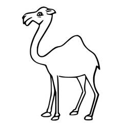 Desenho Camelo (Animais) #205494 para imprimir e colorir