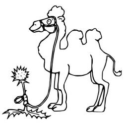 Desenho Camelo (Animais) #205498 para imprimir e colorir