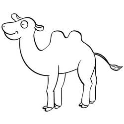 Desenho Camelo (Animais) #205503 para imprimir e colorir