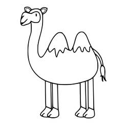 Desenho Camelo (Animais) #205505 para imprimir e colorir