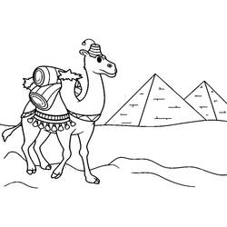 Desenho Camelo (Animais) #205513 para imprimir e colorir