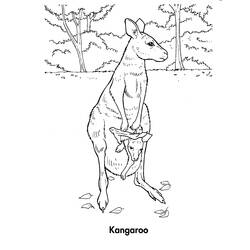 Página para colorir: Canguru (animais) #9164 - Páginas para Colorir Imprimíveis Gratuitamente