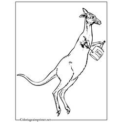 Página para colorir: Canguru (animais) #9175 - Páginas para Colorir Imprimíveis Gratuitamente