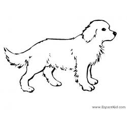 Página para colorir: Cão (Animais) #14 - Páginas para Colorir Imprimíveis Gratuitamente