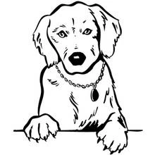 Página para colorir: Cão (Animais) #18 - Páginas para Colorir Imprimíveis Gratuitamente