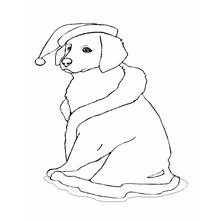 Página para colorir: Cão (Animais) #19 - Páginas para Colorir Imprimíveis Gratuitamente