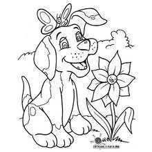Página para colorir: Cão (Animais) #37 - Páginas para Colorir Imprimíveis Gratuitamente