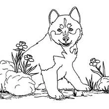 Página para colorir: Cão (Animais) #61 - Páginas para Colorir Imprimíveis Gratuitamente