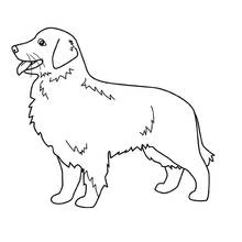 Página para colorir: Cão (Animais) #7 - Páginas para Colorir Imprimíveis Gratuitamente