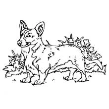 Desenho Cão (Animais) #73 para imprimir e colorir