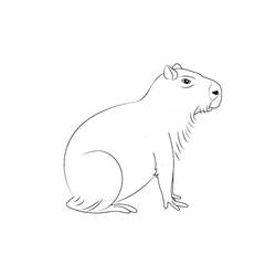 Página para colorir: Capivara (Animais) #207570 - Páginas para Colorir Imprimíveis Gratuitamente