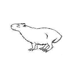 Página para colorir: Capivara (Animais) #207571 - Páginas para Colorir Imprimíveis Gratuitamente