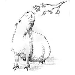 Página para colorir: Capivara (Animais) #207579 - Páginas para Colorir Imprimíveis Gratuitamente