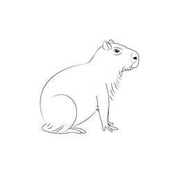 Página para colorir: Capivara (Animais) #207598 - Páginas para Colorir Imprimíveis Gratuitamente