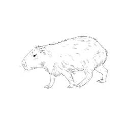 Página para colorir: Capivara (Animais) #207607 - Páginas para Colorir Imprimíveis Gratuitamente
