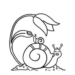 Página para colorir: Caracol (Animais) #6526 - Páginas para Colorir Imprimíveis Gratuitamente