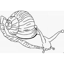 Página para colorir: Caracol (Animais) #6532 - Páginas para Colorir Imprimíveis Gratuitamente