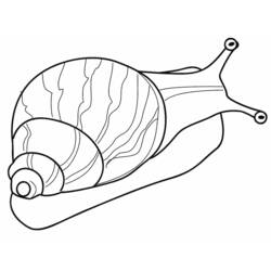 Página para colorir: Caracol (Animais) #6542 - Páginas para Colorir Imprimíveis Gratuitamente