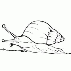 Página para colorir: Caracol (Animais) #6613 - Páginas para Colorir Imprimíveis Gratuitamente