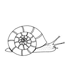 Página para colorir: Caracol (Animais) #6619 - Páginas para Colorir Imprimíveis Gratuitamente