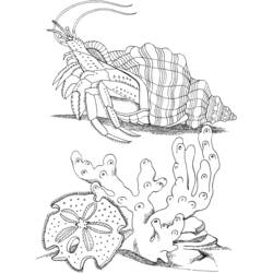 Página para colorir: Caranguejo (animais) #4616 - Páginas para Colorir Imprimíveis Gratuitamente