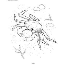 Página para colorir: Caranguejo (animais) #4659 - Páginas para Colorir Imprimíveis Gratuitamente