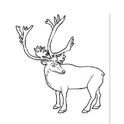 Página para colorir: caribu (animais) #1541 - Páginas para Colorir Imprimíveis Gratuitamente